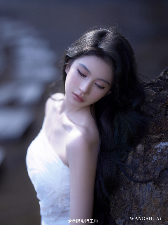 第二十条 封面
